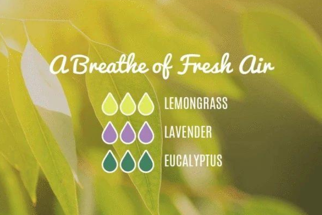 Lemongrass Diffuser Blend to Ease Stress and Raise Spirits!!